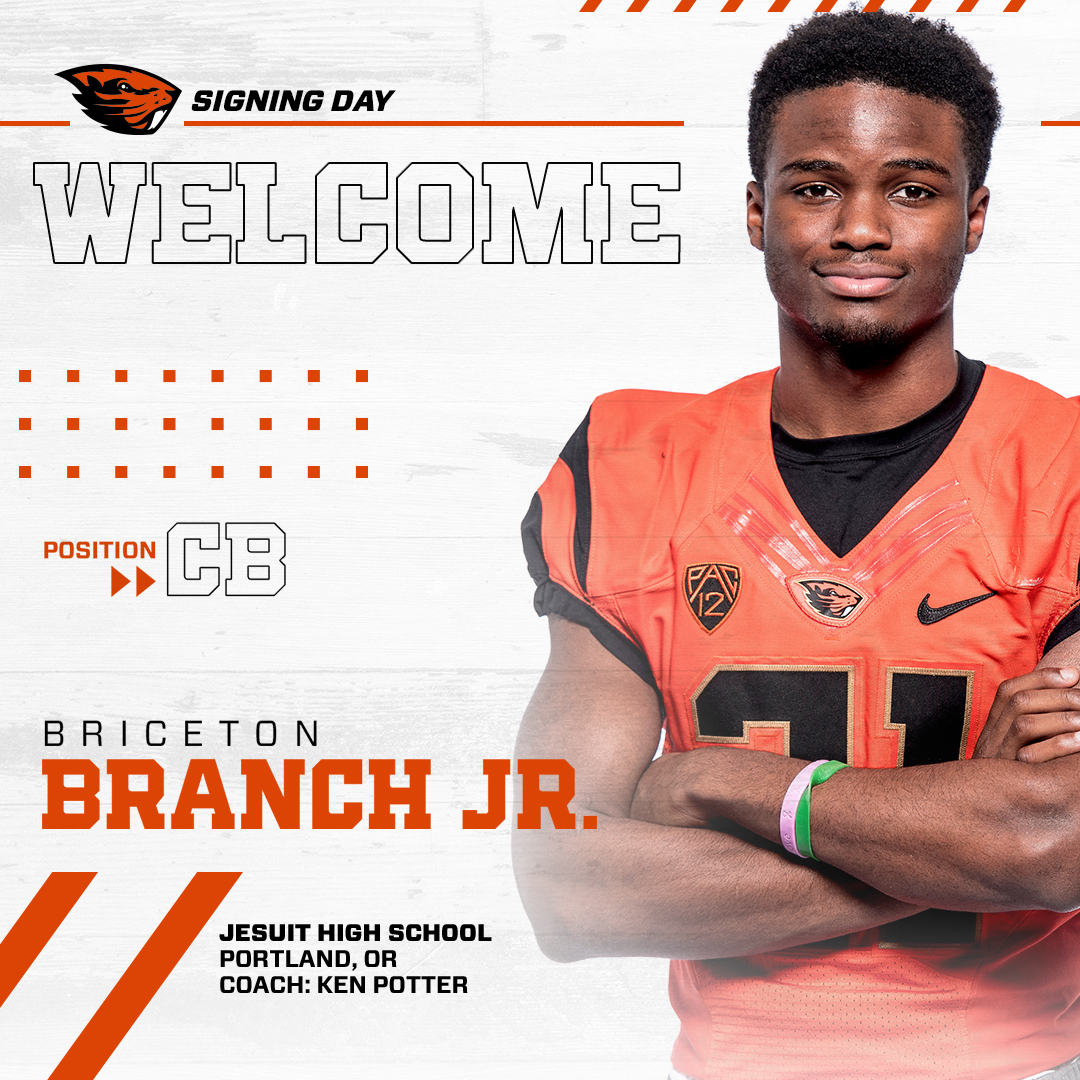 branch