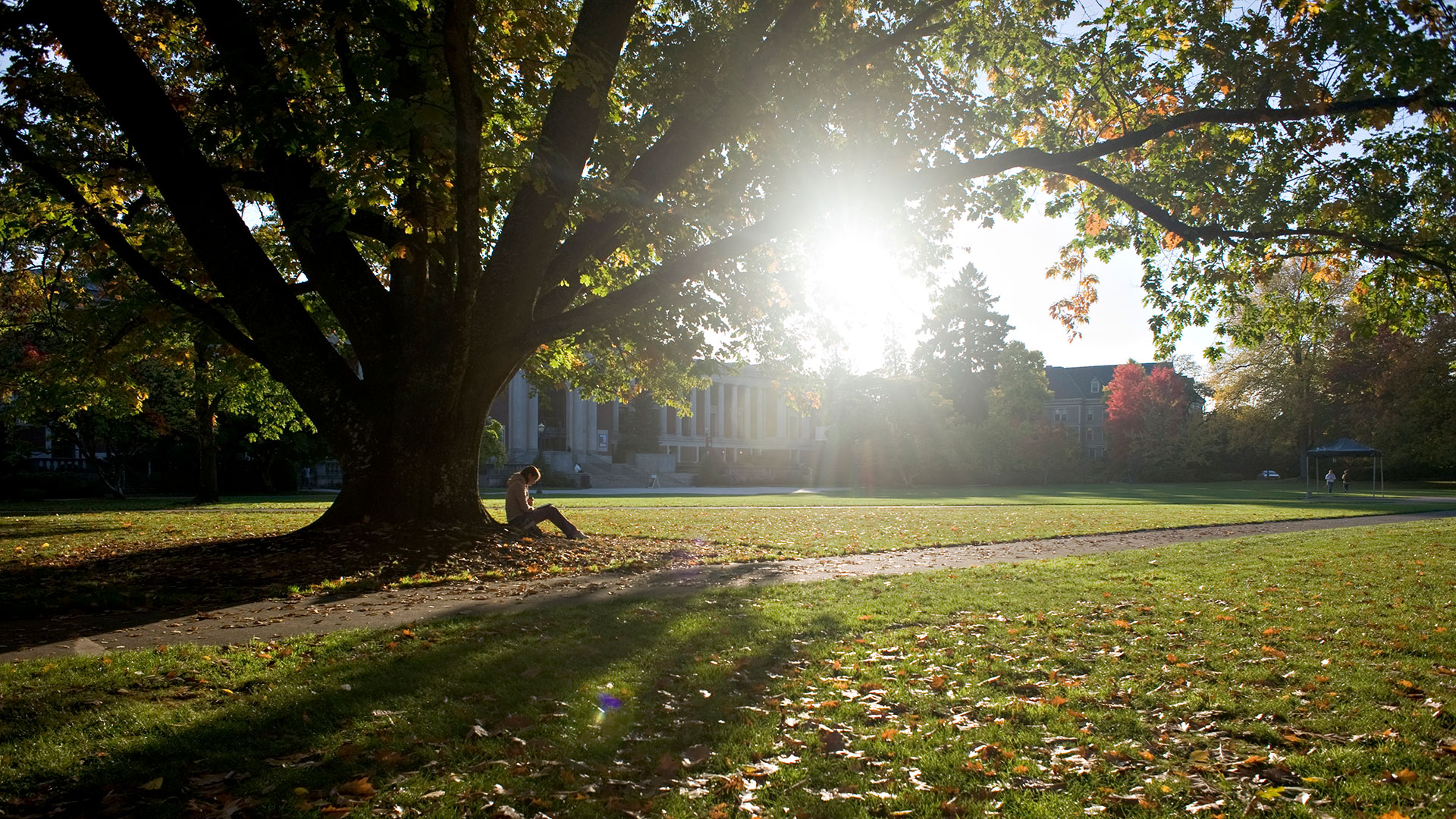 sunshine on campus
